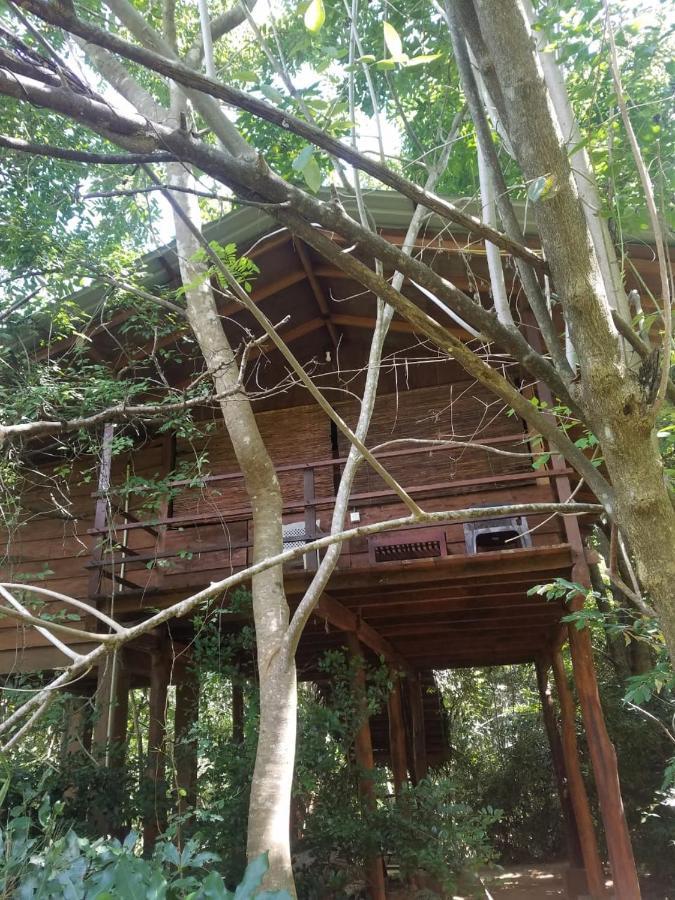 The Inn On The Tree Σιγκιρίγια Εξωτερικό φωτογραφία